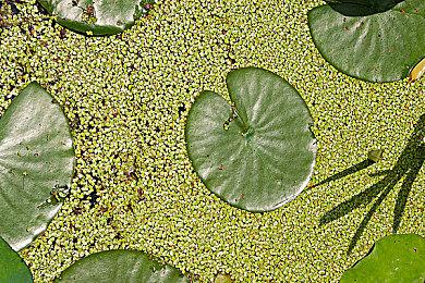 《破月勇者》：用卡牌与战棋来演绎一部奇幻太空史诗