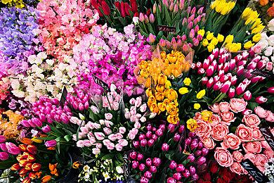 SE将通过网游和手游支撑高清游戏的开发