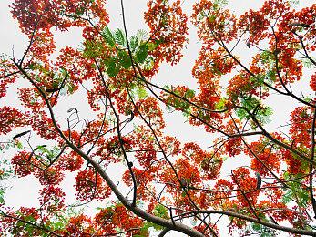 腾讯《极品飞车：集结》新预告 开放世界赛车手游